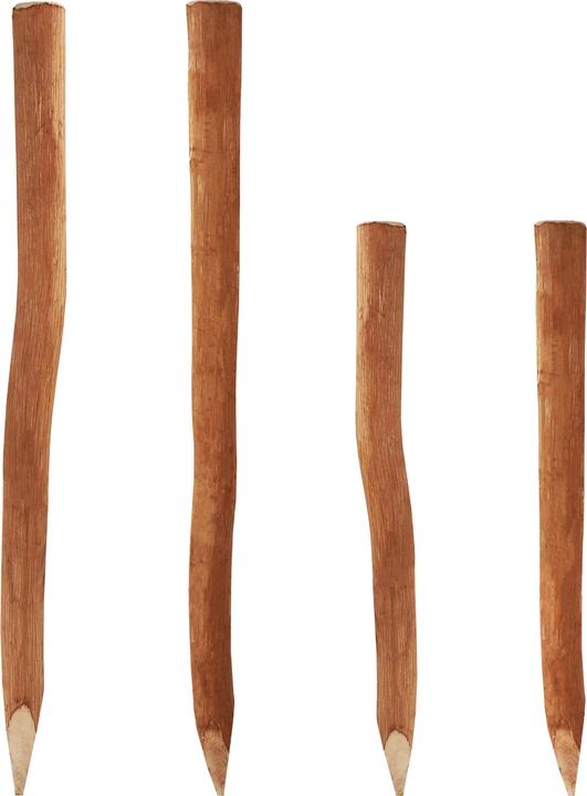Actual product image Aquagart 30 Holzpfosten für Staketenzaun 1,5m I Durchmesser 6-9cm I Zaunpfosten aus Haselnuss I Zaun-Pfahl