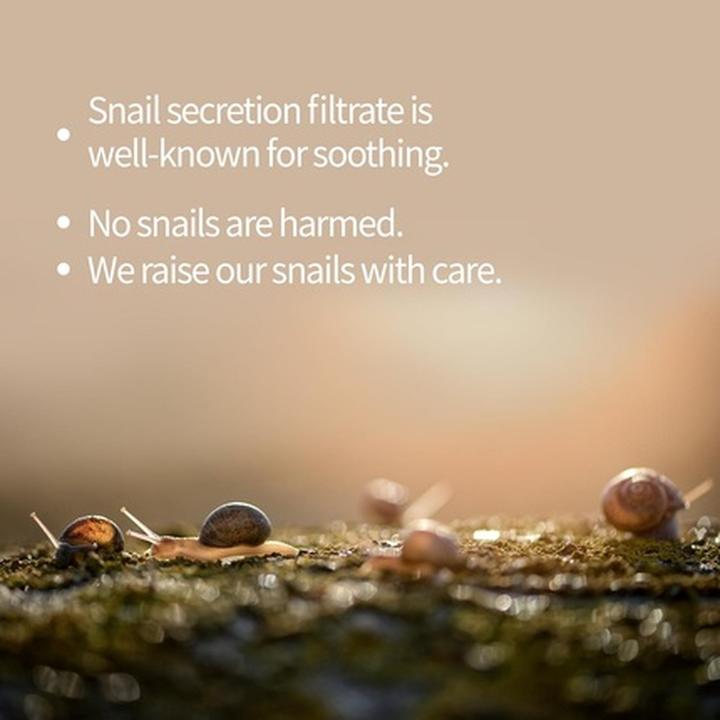 Immagine prodotto Benton Crème Snail Bee High Content Stream Cream 50 g (Crema 24h)