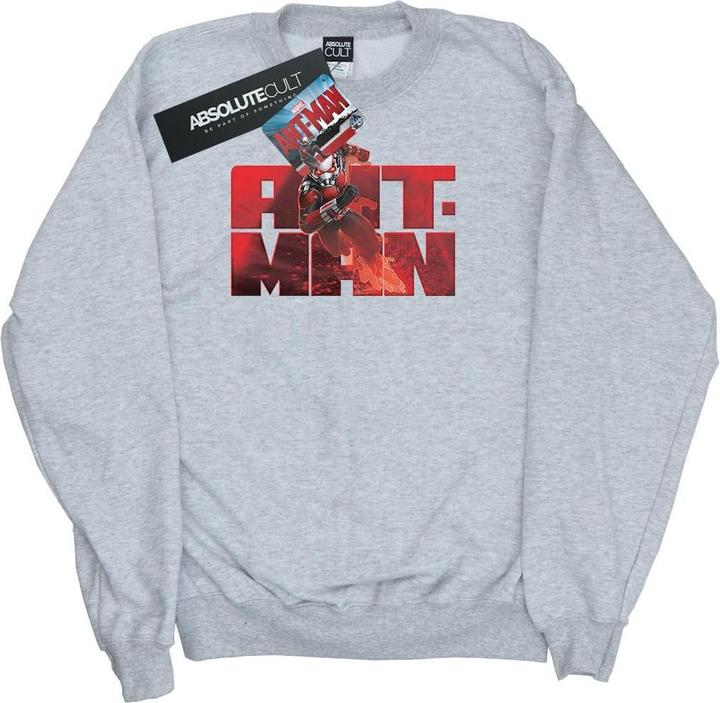 Produktbild Jungen AntMan LaufSweatshirt (152, 158)