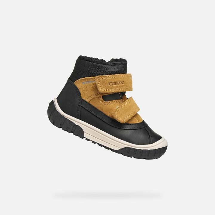 Black, Dk Yellow C9241