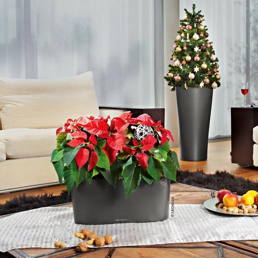 Produktbild Lechuza Delta (29 x 56.50 cm)