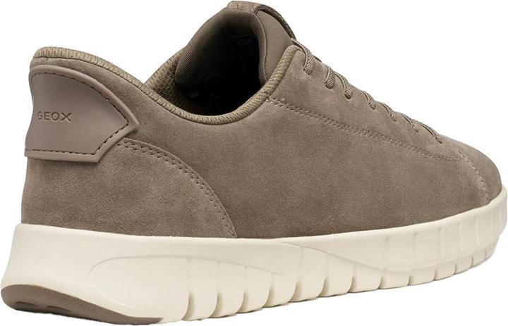 Image du produit Geox Sneaker Leder FlexStride Plus (44)