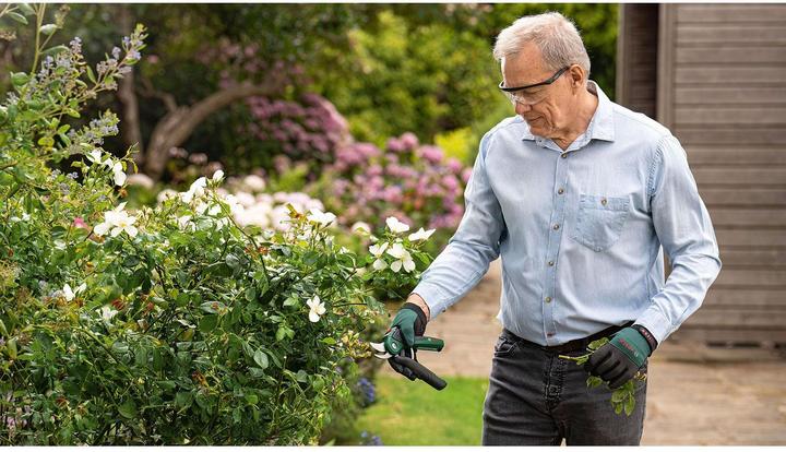 Productafbeelding Bosch Home & Garden Accu-tuinschaar EasyPrune