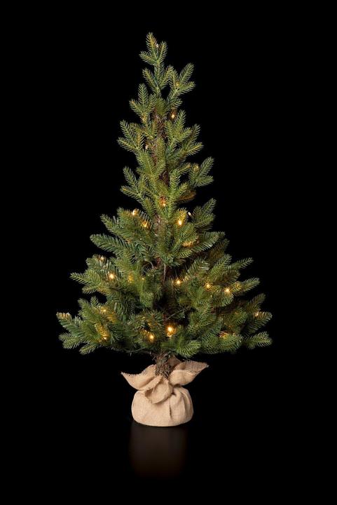 Image du produit STT Arbre nordique (105 cm)