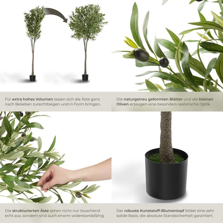 Image du produit tectake Olivier Oleand (210 cm)