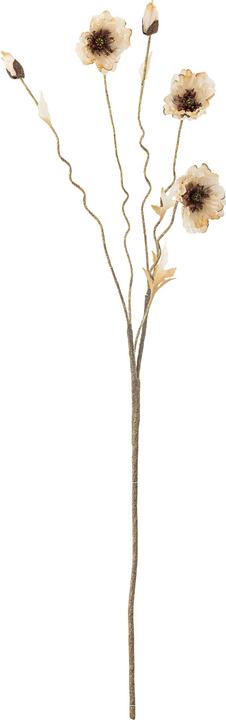 Immagine prodotto Bloomingville Poppy (104 cm)