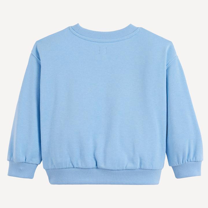 Produktbild La Redoute Collections Bedrucktes Sweatshirt aus Molton (80)