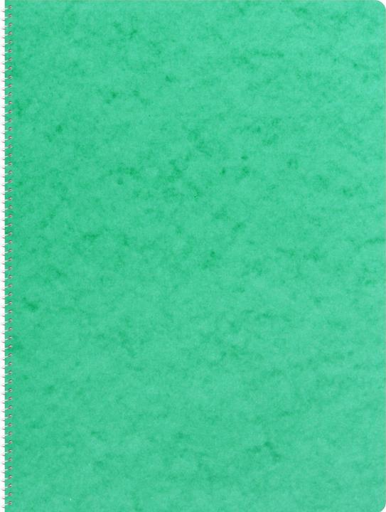 Actual product image Novooo Spiralheft assortiert (A4, Checked, Soft cover)