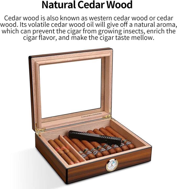 Actual product image Cigarloong Humidor (25)