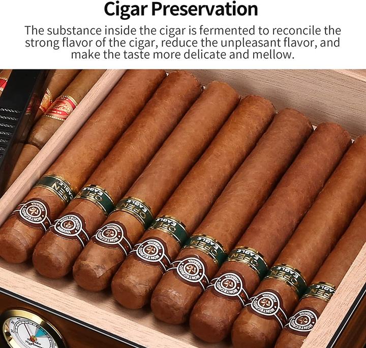 Actual product image Cigarloong Humidor (25)