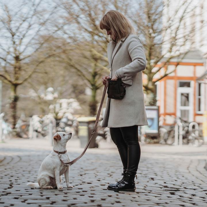 Image du produit Hunter Collier Inari Alu-Strong, M, Beige (M, Chien, Général)