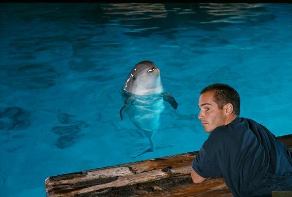 Image du produit Im Rausch der Tiefe (Blu-ray 4k, 1988, Allemand, Anglais)