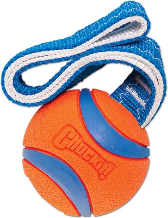 Actual product image Chuckit! Ultra Tug (Dog chew toy)