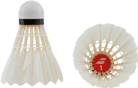 Actual product image Babolat 1