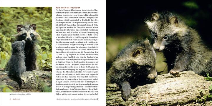 Produktbild Räuber in heimischen Wäldern (Deutsch, Klaus Borrmann, 2013)