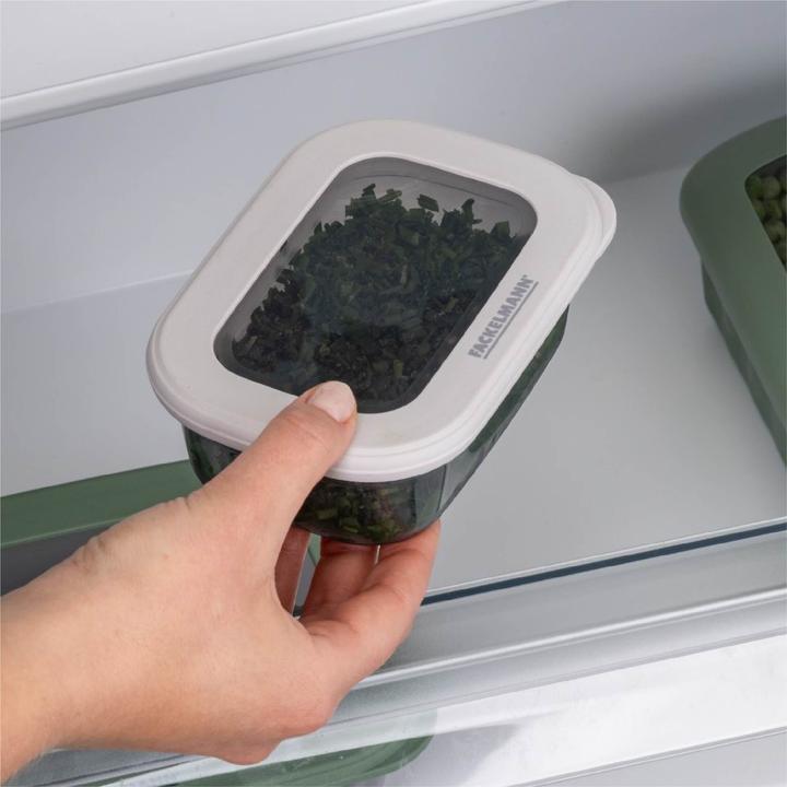 Actual product image Fackelmann Vorratsbehälter be the move 0.4 l, Hellgrau (0.40 l)