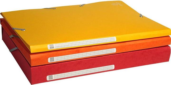 Produktbild Exacompta Sammelmappe (A4, 1x)