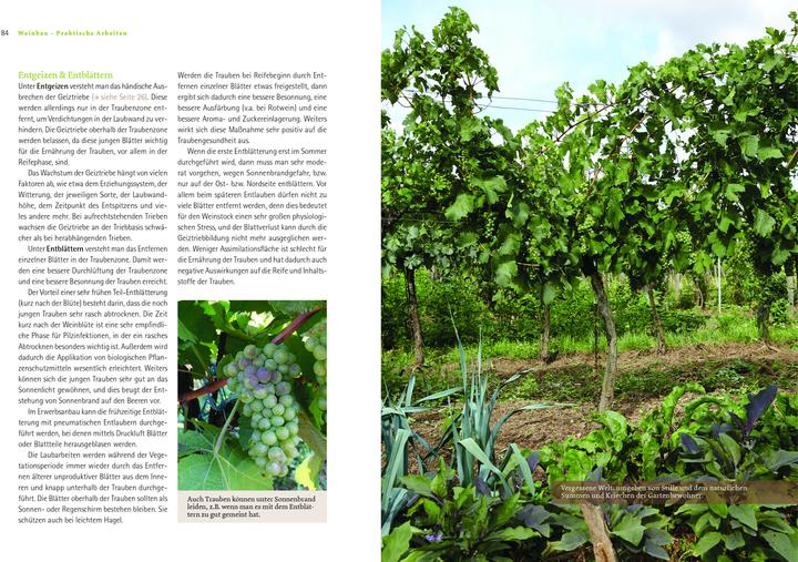 Produktbild Bio-Wein im eigenen Garten (Deutsch, Sonja Schmid, 2021)