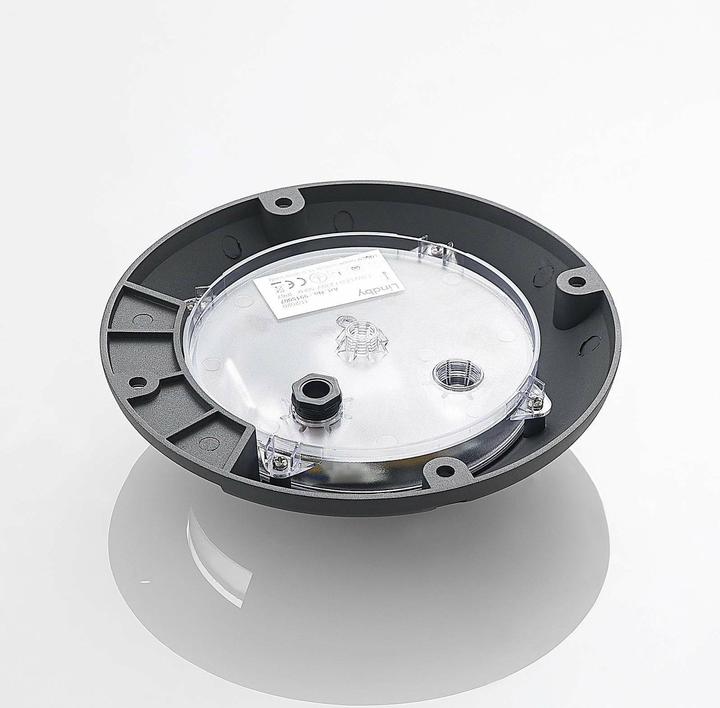 Actual product image Lindby Cormac (54 lm)
