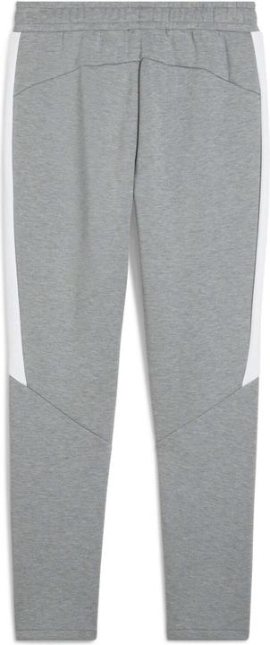 Actual product image Puma teamEVOSTRIPE Pants (M)