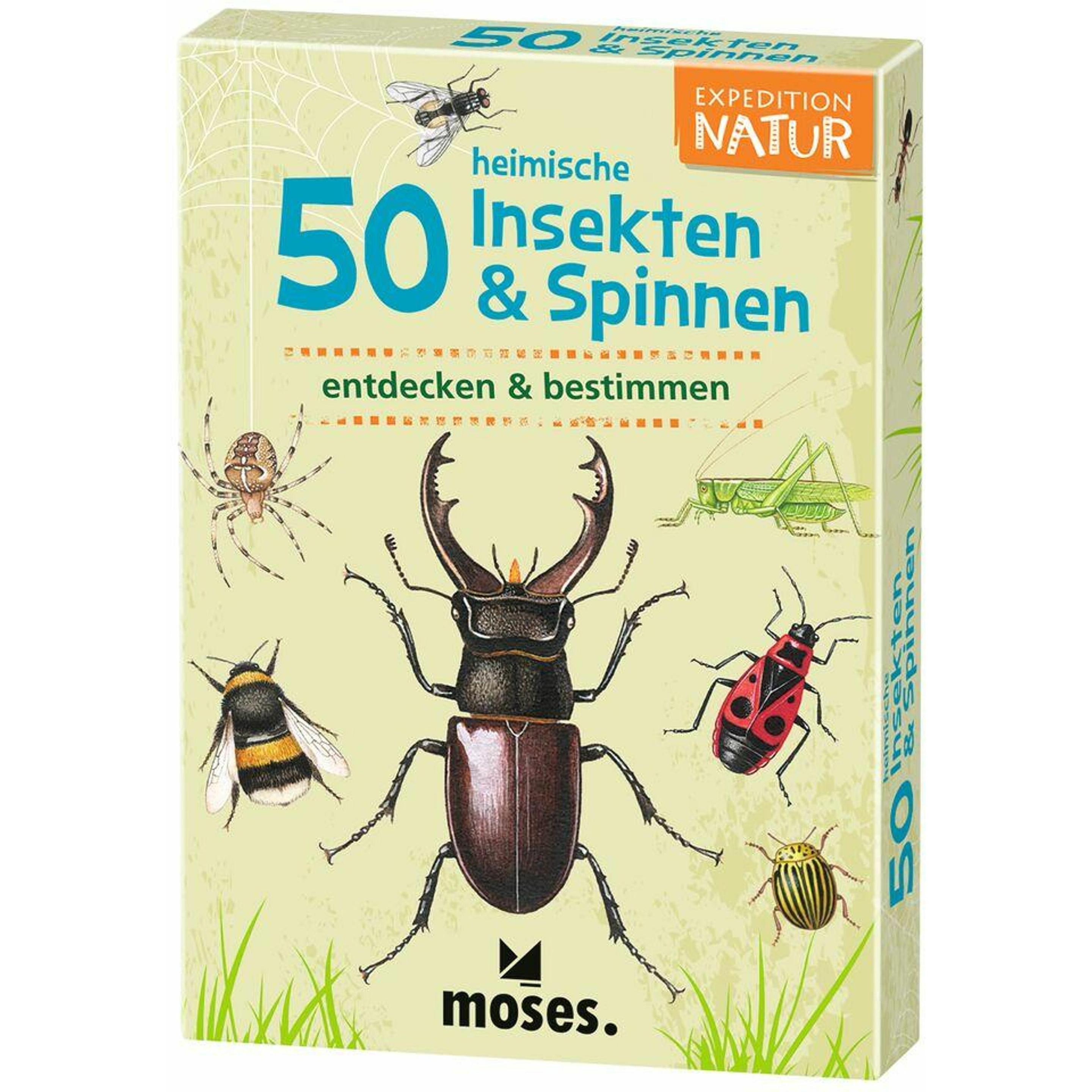 Moses 50 heimische Insekten & Spinnen (Deutsch) (9723)
