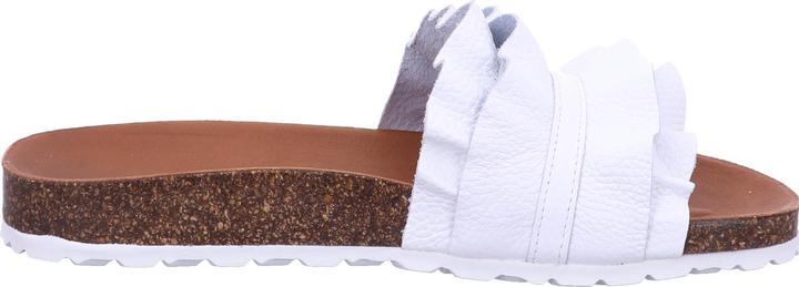 Immagine prodotto Verbenas Mulo Rocio (40)