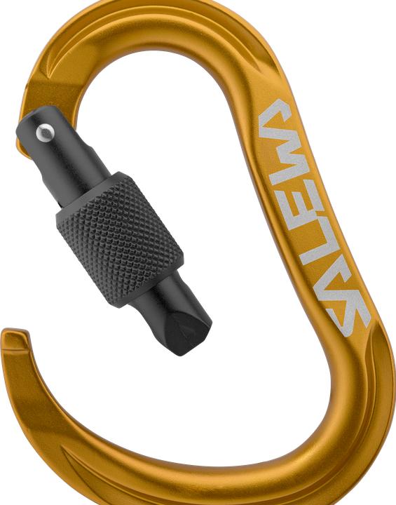 Immagine prodotto Salewa Ortles Hms M Carabiner