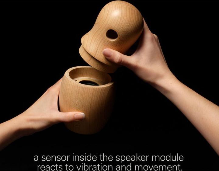 Actual product image Teenage Engineering Synthesizer Gadget CH-8 hatsheput