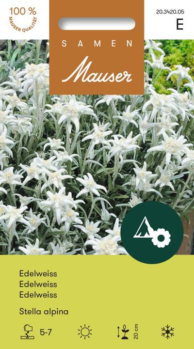 Produktbild Samen Mauser Edelweiss (Pflanzensamen)