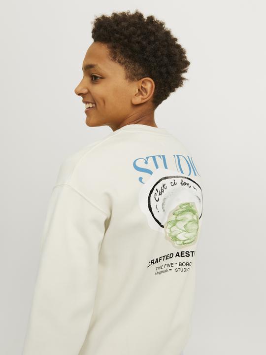 Actual product image Jack & Jones Printed Sweatshirt For Boys Sweatshirt (164)
