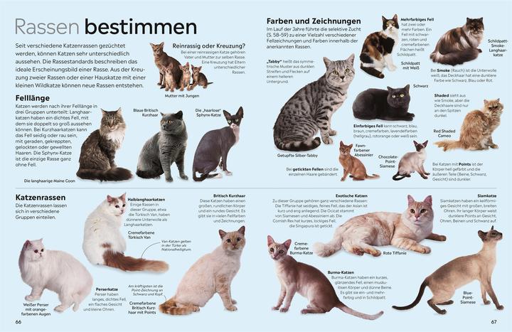 Actual product image memo Wissen. Katzen (German, DK Verlag - Kids, Juliet Clutton-Brock, Susanne Schmidt-Wussow, 2024)