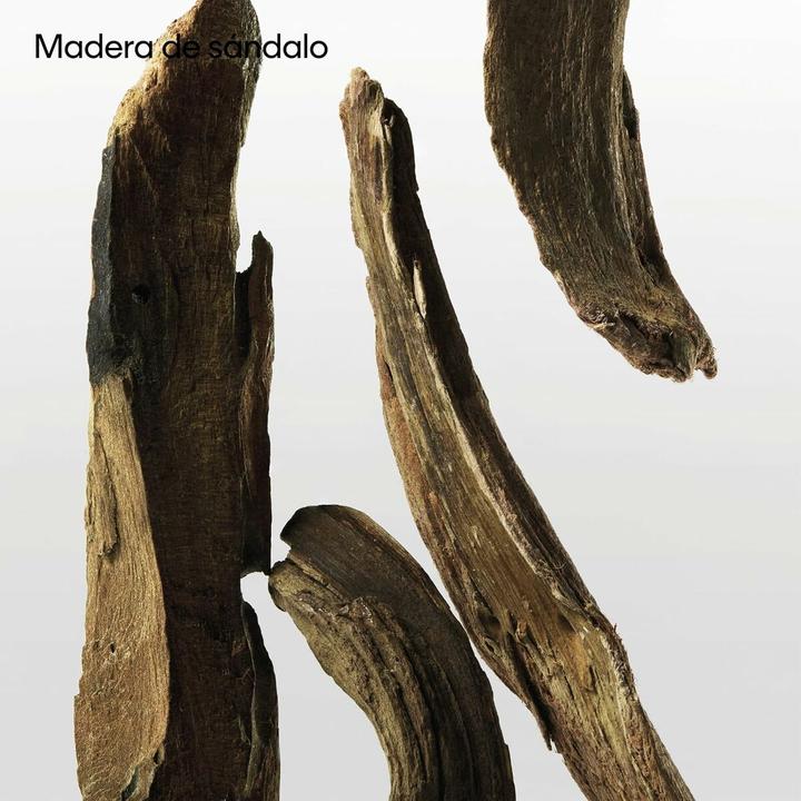 Immagine prodotto Calvin Klein One Essence (Eau de parfum, 50 ml)