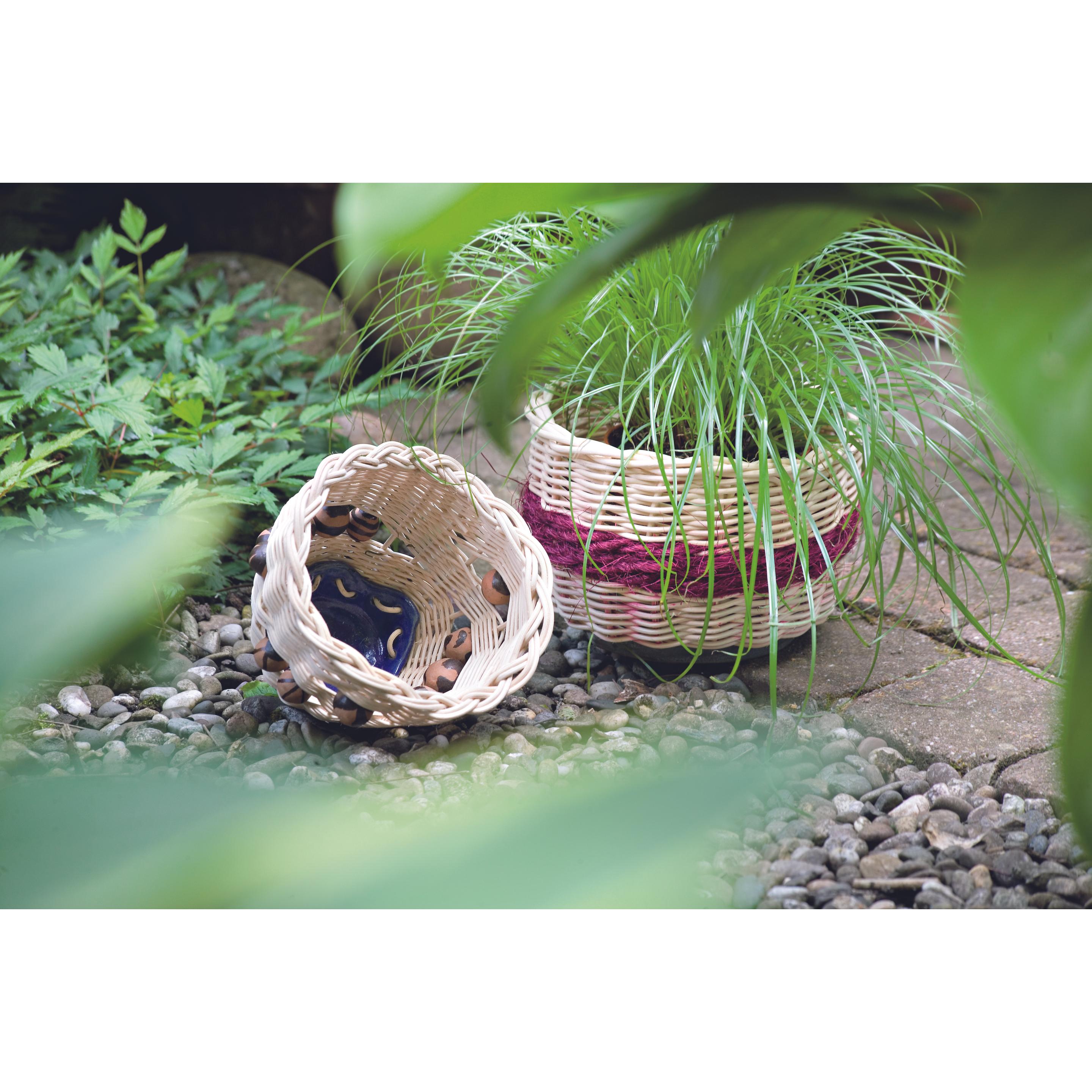 Thumbnail - Faszination Peddigrohr, Ratgeber von Antje Hövel