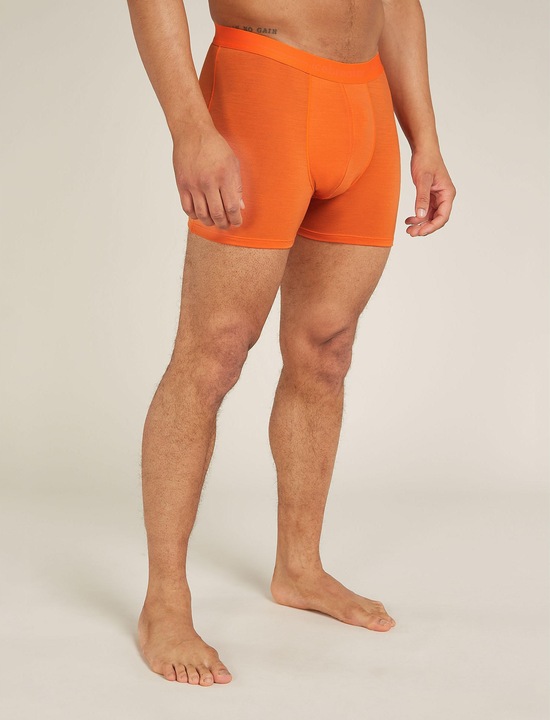 Produktbild Icebreaker Anatomica (M)