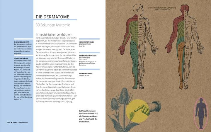 Produktbild Librero Anatomie und Medizin in 30 Sekunden (Deutsch, Gabrielle M. Finn, 2025)