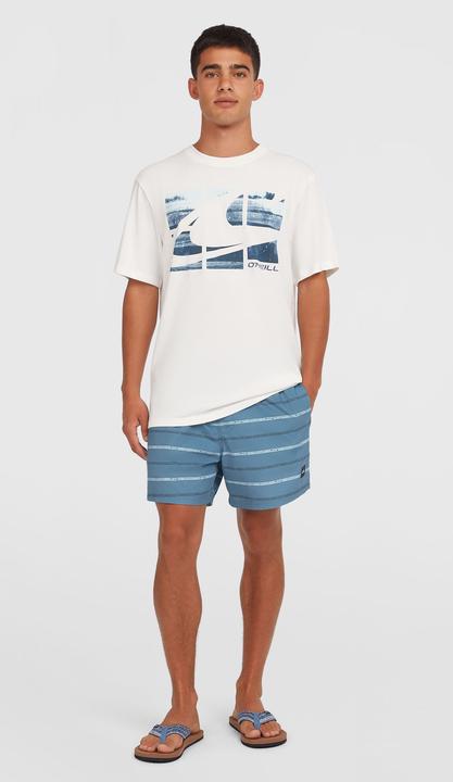 Immagine prodotto O'Neill Cali First 15" Swimshorts (L)