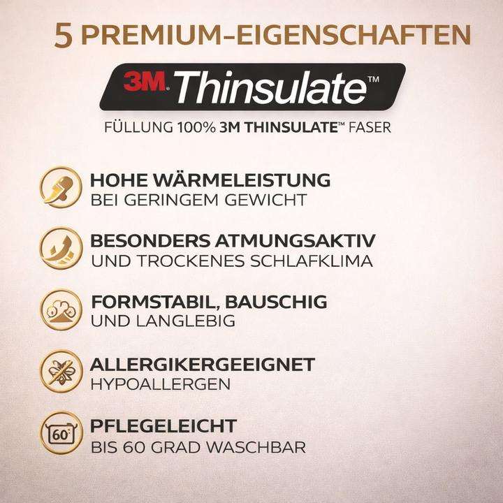 Produktbild Traumschlaf Thinsulate warm (1800 g, 200 x 220 cm)