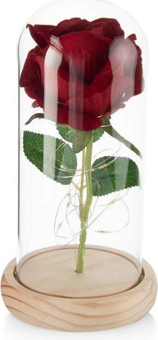 Produktbild TOP Ewige Rose