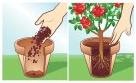 Actual product image Compo BIO Universal Soil 40 L peat-free (40 l, Soil without peat)