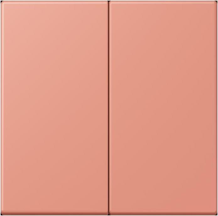 Produktbild JUNG Steuertaste