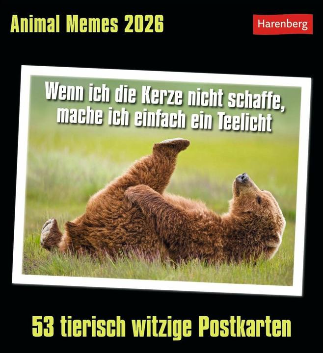 Actual product image Harenberg Animal Memes Postkartenkalender 2026 - 53 tierisch witzige Postkarten (Hardcover, English, German)