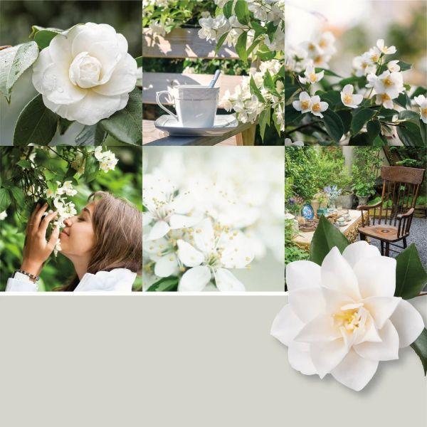 Actual product image Yankee Candle Camellia Blossom (411 g)