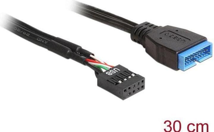 Delock USB Kabel intern (0.30 m, Industriekabel)