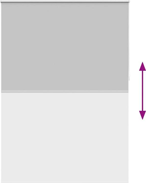 Immagine prodotto vidaXL Verdunklungsrollo (140 x 230 cm)