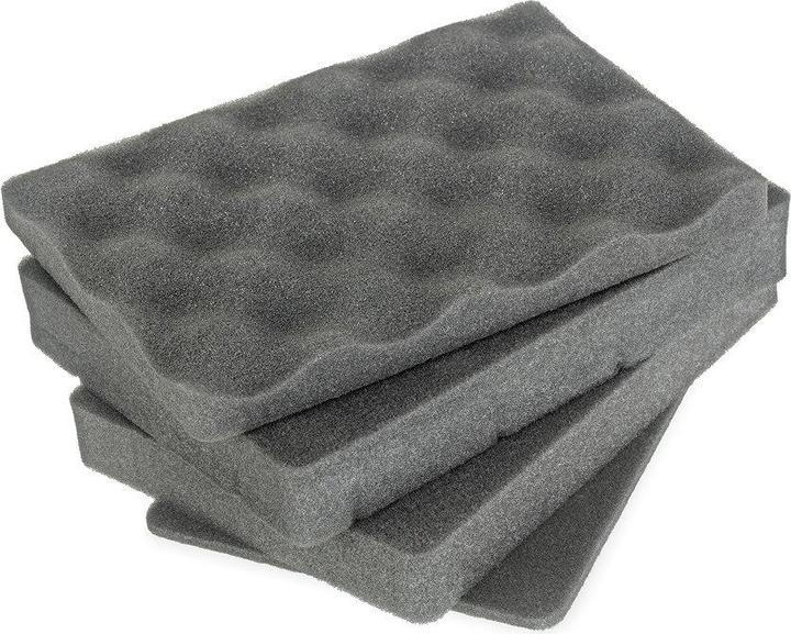 Actual product image B+W Outdoor case 500 foam case (Photo case, 2.30 l)