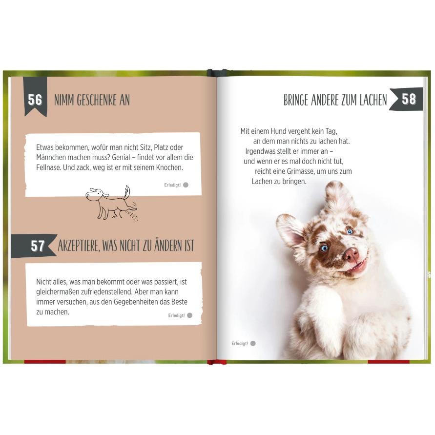 Thumbnail - 100 Dinge, die man von einem Hund lernen kann, Ratgeber von Groh Verlag
