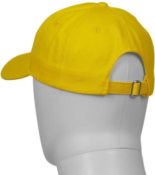 Actual product image Payper Illinois