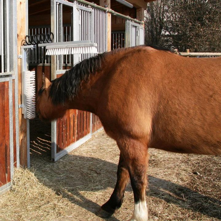 Productafbeelding Kerbl Veeborstel