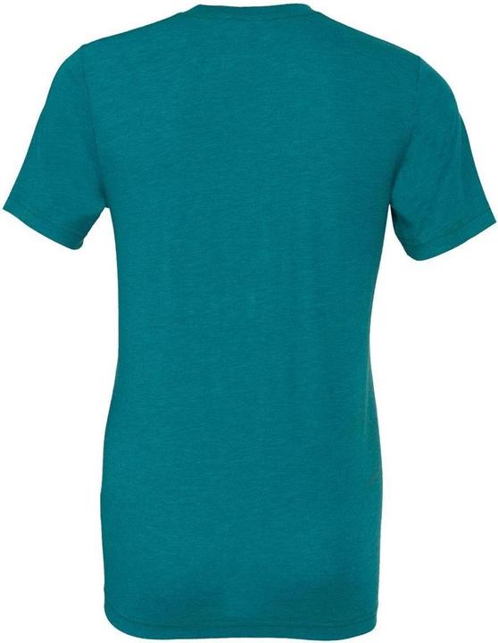 Actual product image Bella Canvas Triblend Tee (XL)