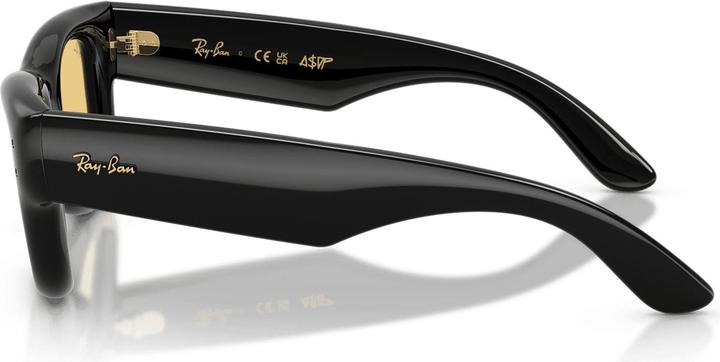 Actual product image Ray Ban Wayfarer buffer